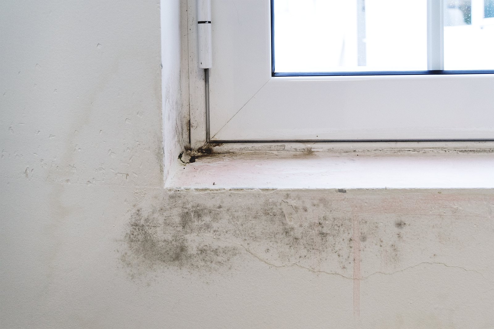 Black Mold On White Window Sill And Wall. Poor Ventilation, Humi